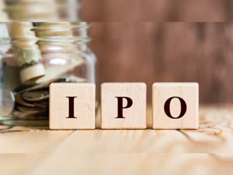 Which IPO to Invest in 2024?